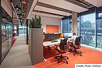 morepic-6