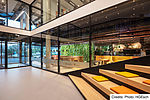morepic-1