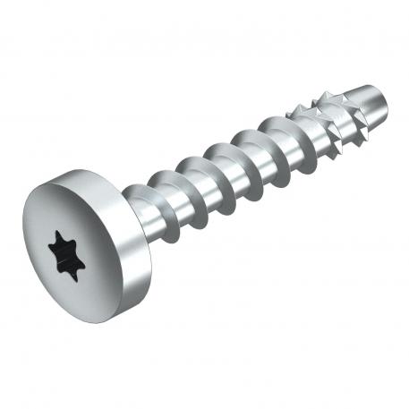 Rundhovedanker MMS-plus P 6x50, med Panhead 6 x 50 | 50 | 5 | 11,2 | Torx