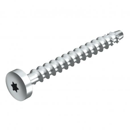 Rundhovedanker MMS-plus P 7,5x80, med Panhead