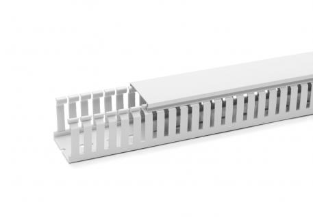 Ledningskanaler HF-VK 50, kanalbredde 100 2000 | 100 | 50 |  | lysgrå; RAL 7035